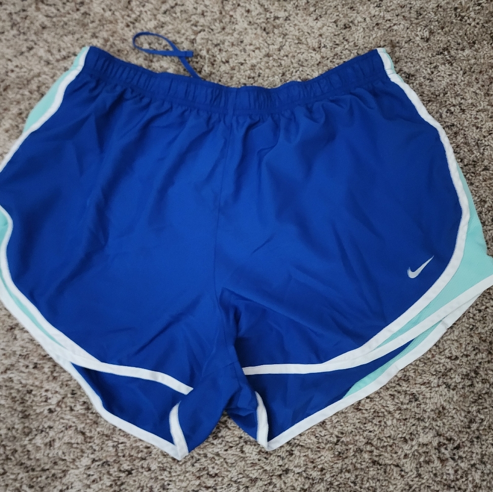 Nike Blue and White Women's Shorts